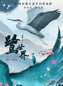 《上古卷轴：刀锋》中的隐藏任务与秘密地点